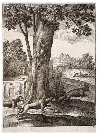 The Fox and the Cat by Wenceslaus Hollar